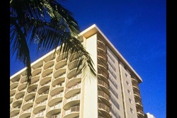 aqua waikiki wave pet friendly waikiki dog friendly restaurants with outdoor patio